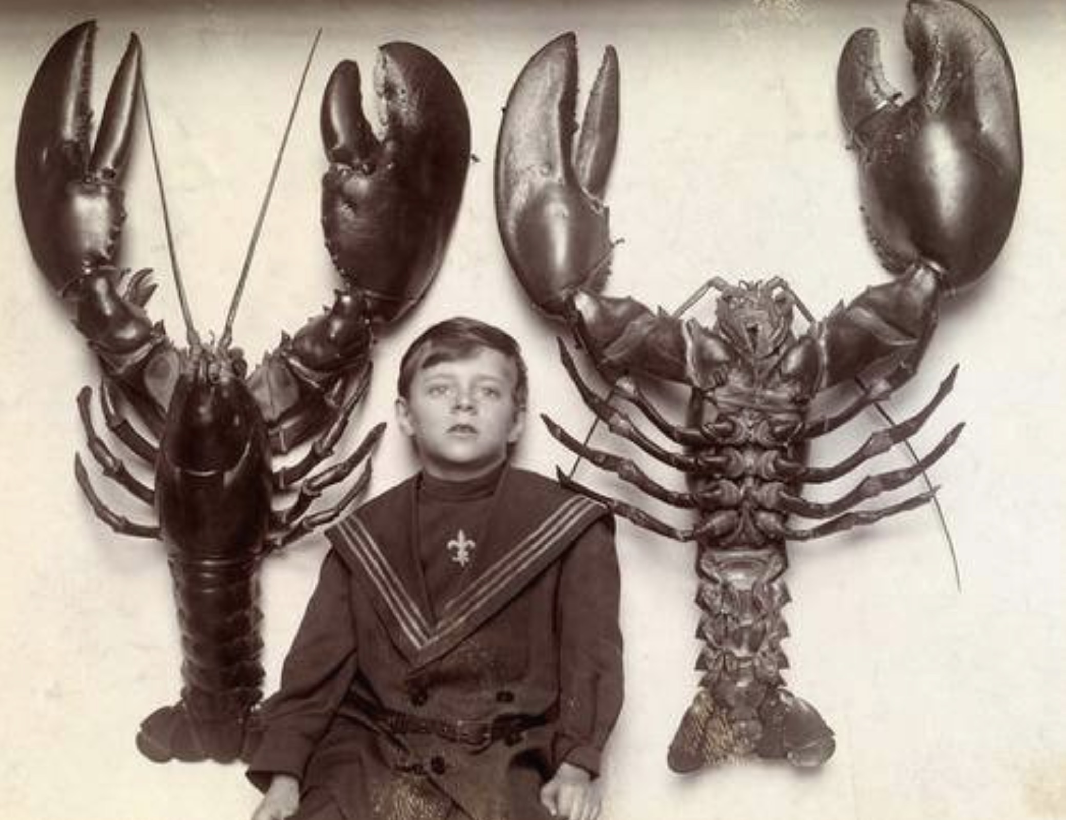 A boy between two mounted lobsters caught off the New Jersey coast, 1916